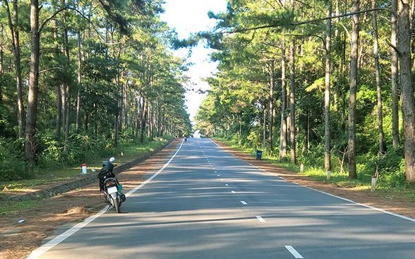 Măng Đen sắp có 3 khu đô thị 27.000 tỉ đồng - Ảnh 2.