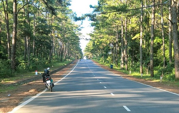 Quảng Ngãi sẵn sàng làm cao tốc, sân bay Lý Sơn, Măng Đen - Ảnh 2.
