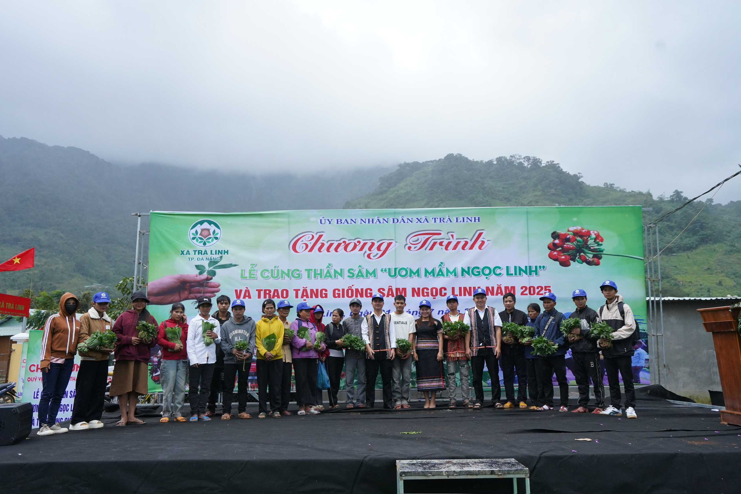 Hội thi sâm Ngọc Linh tại Đà Nẵng: Bảo tồn và phát triển kinh tế địa phương - Ảnh 5.