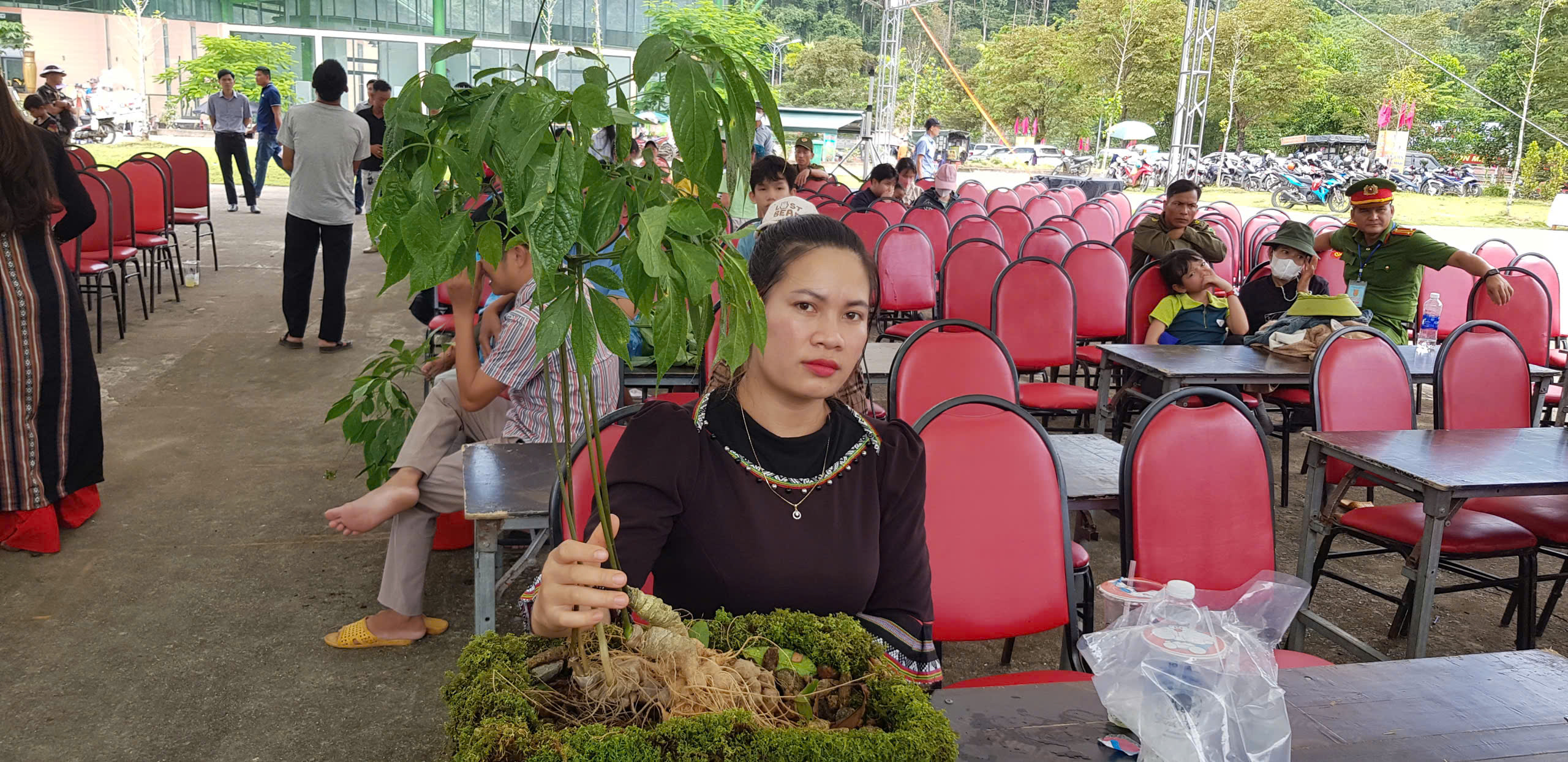 Hội thi sâm Ngọc Linh tại Đà Nẵng: Bảo tồn và phát triển kinh tế địa phương - Ảnh 2.