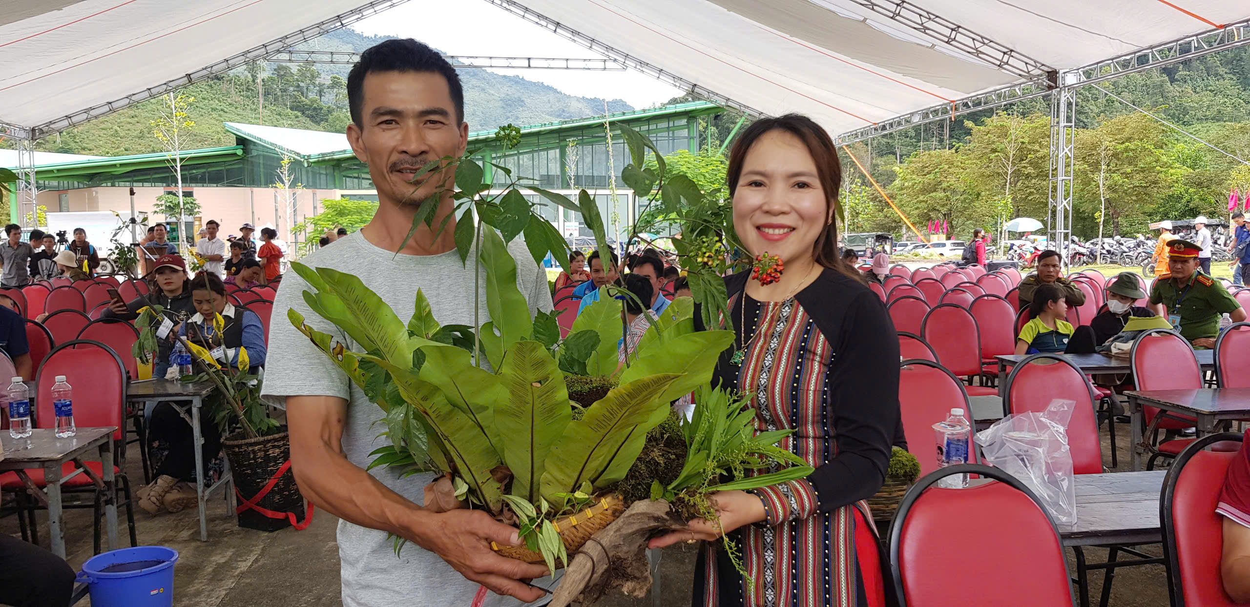 Hội thi sâm Ngọc Linh tại Đà Nẵng: Bảo tồn và phát triển kinh tế địa phương - Ảnh 3.