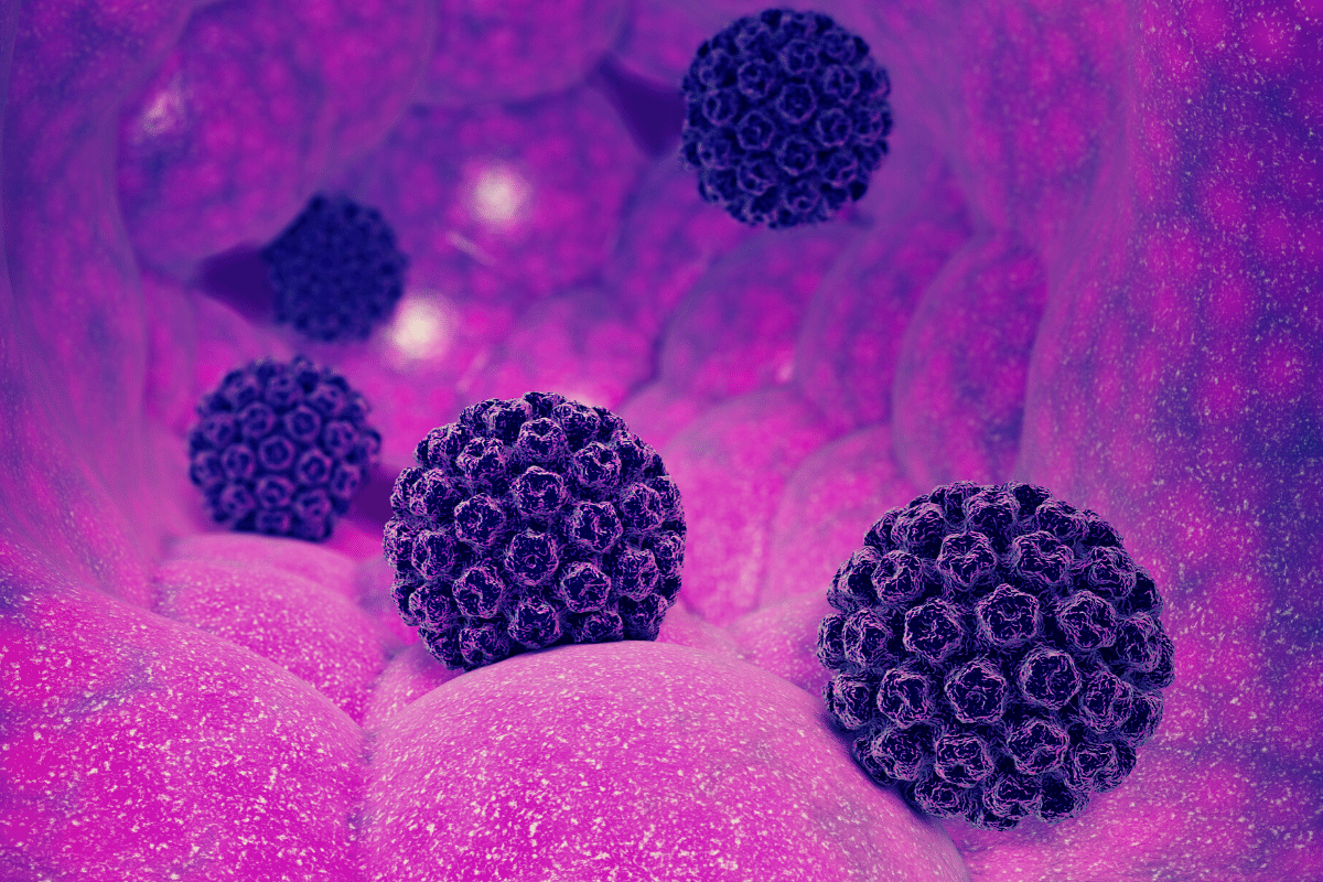 Một loại virus vừa được ph&aacute;t hiện c&oacute; thể g&acirc;y ung thư da- Ảnh 1.