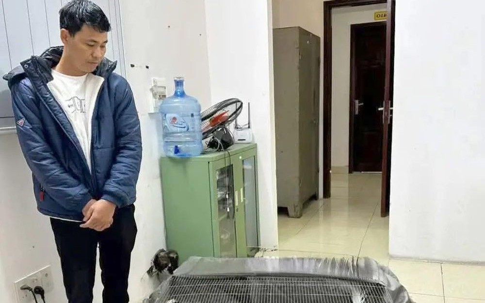 Thông tin mới vụ lĩnh 6 năm tù vì nuôi bán 13 con gà lôi trắng