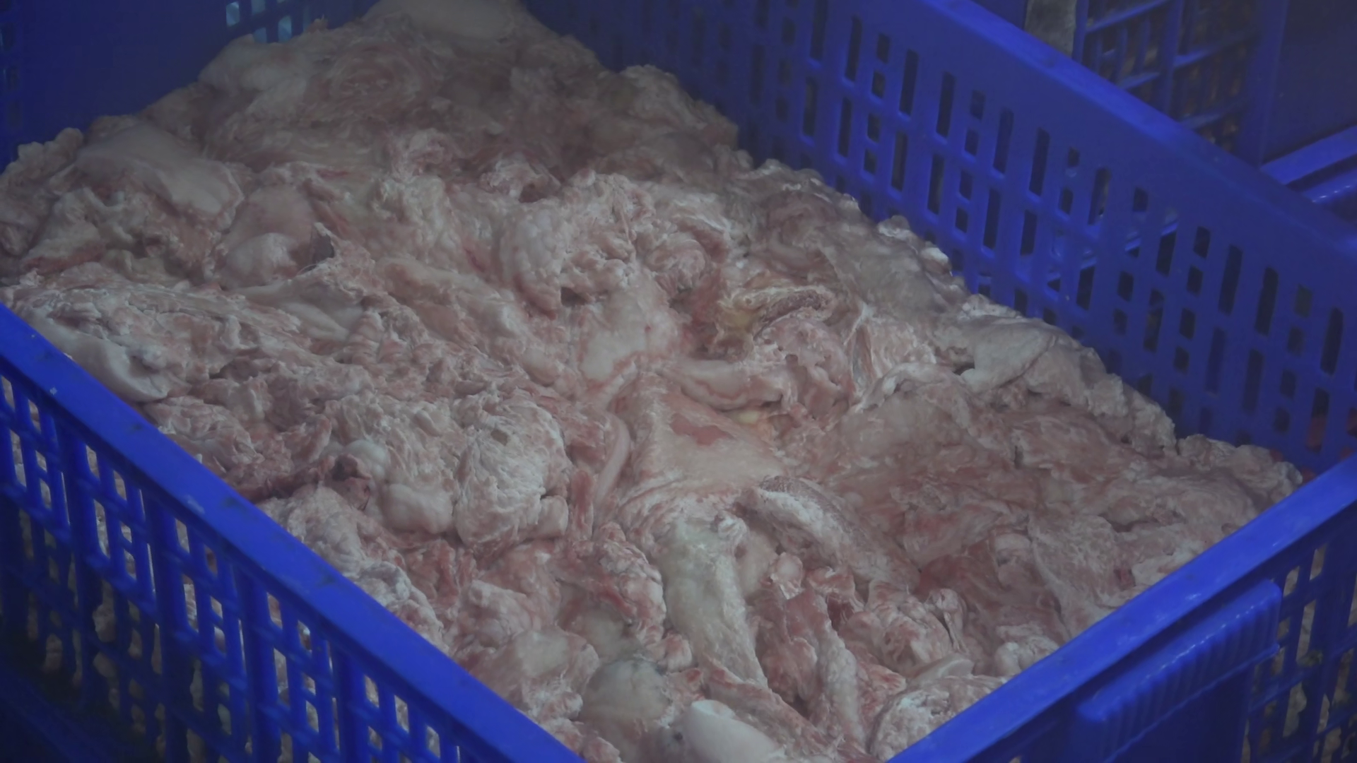 VIDEO: Bất ngờ số thịt, mỡ động vật trong 2 kho lạnh ở Đồng Th&aacute;p- Ảnh 4.