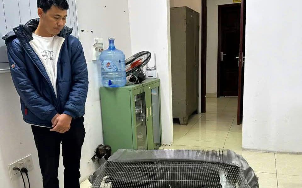 Vụ lĩnh 6 năm tù vì nuôi bán 13 con gà lôi trắng:  Có tình tiết giảm nhẹ trách nhiệm hình sự ?
