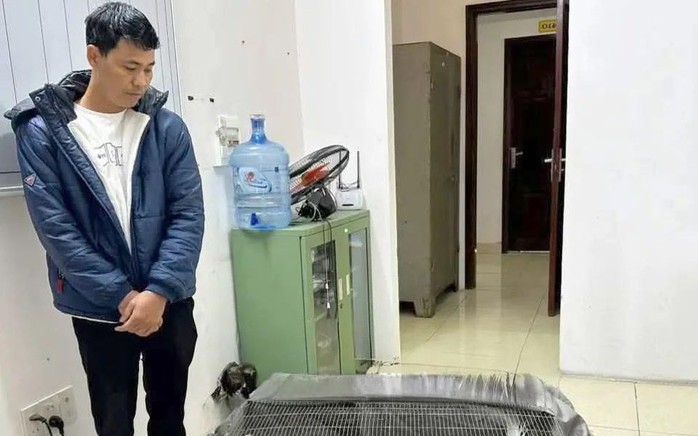 Điểm mấu chốt của vụ án người đàn ông lĩnh 6 năm tù vì nuôi, bán 13 con gà lôi trắng