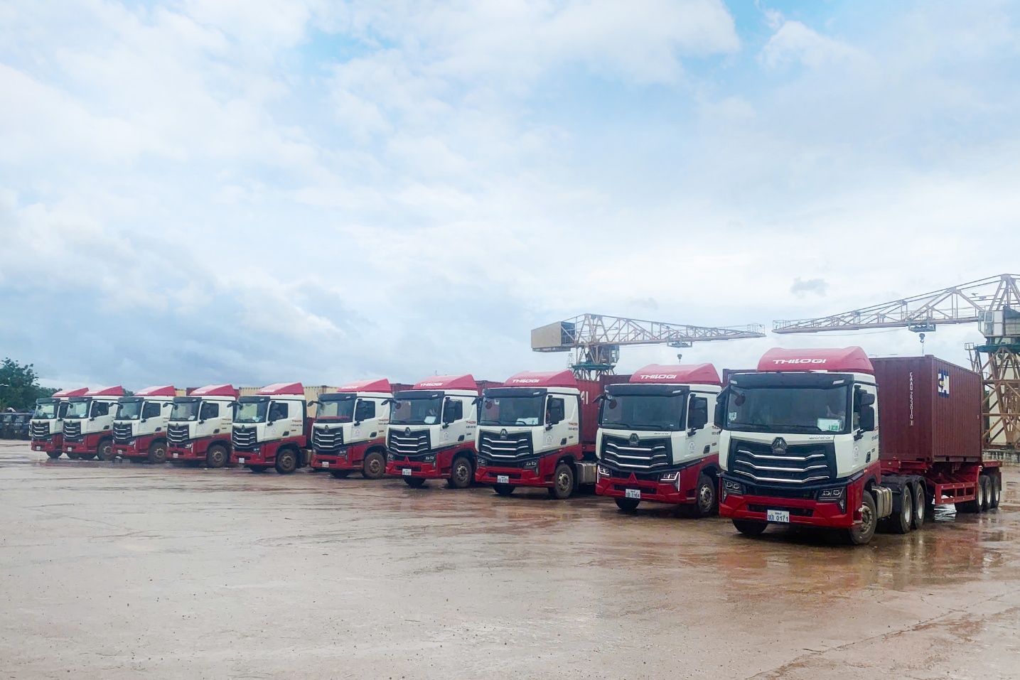 THILOGI tăng cường mở tuyến, kết nối hàng hóa từ Lào ra thị trường quốc tế- Ảnh 1.