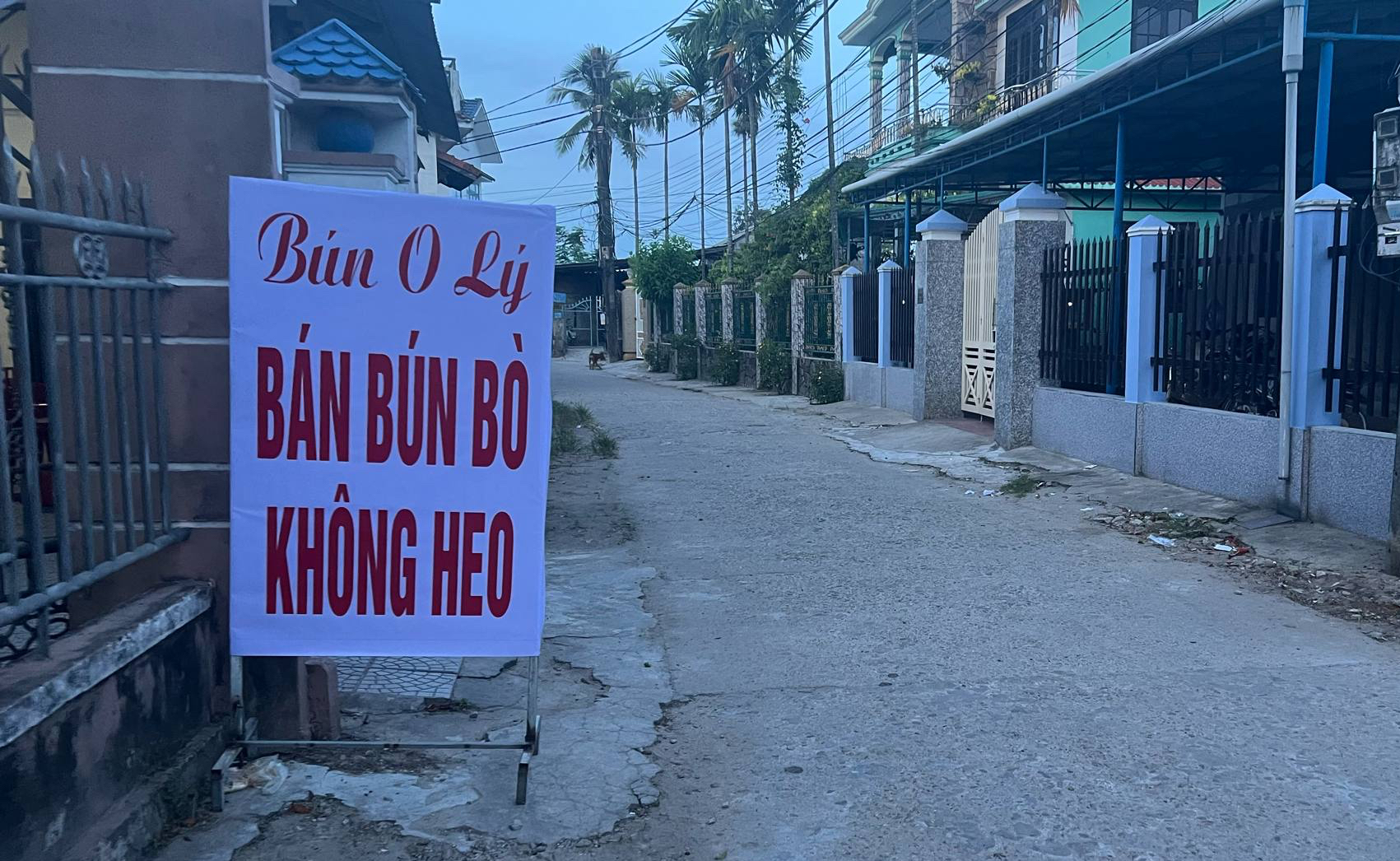 Ng&agrave;nh y tế Huế n&oacute;i r&otilde; nguy&ecirc;n nh&acirc;n 4 người tử vong do li&ecirc;n cầu lợn - Ảnh 1.