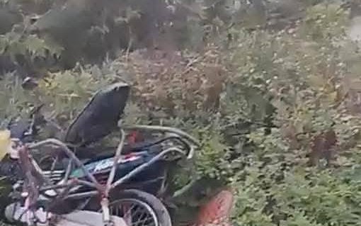 Đi chợ bán hàng lúc sáng sớm, người phụ nữ bị tàu hỏa tông tử vong