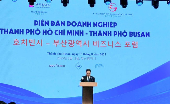 Lãnh đạo UBND TP HCM và Becamex thúc đẩy đầu tư tại Hàn Quốc - Ảnh 2.