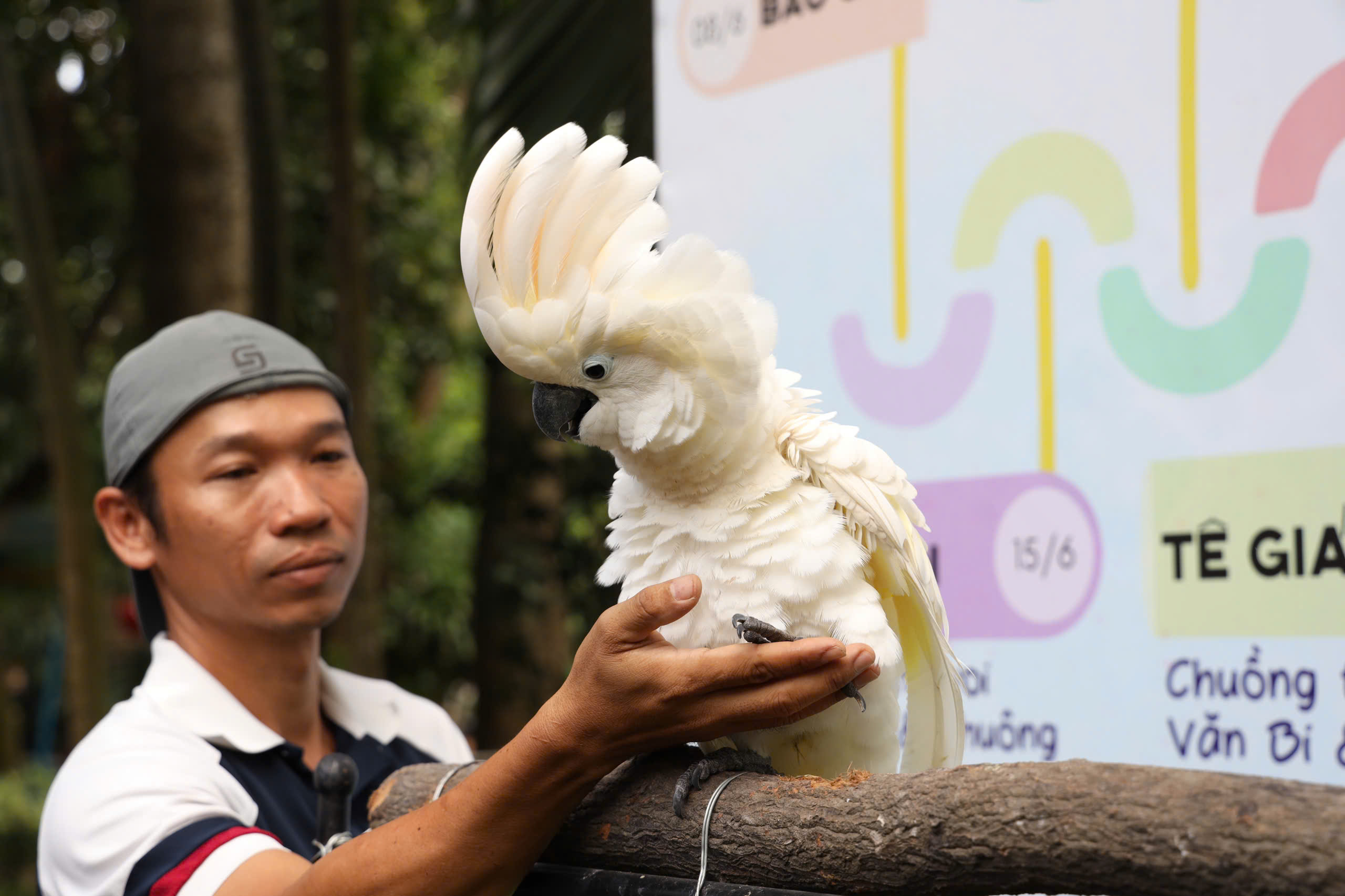 Niệc mỏ vằn Thảo Cầm Vi&ecirc;n từng hoảng sợ&hellip; b&atilde;i ph&acirc;n của ch&iacute;nh m&igrave;nh- Ảnh 8.