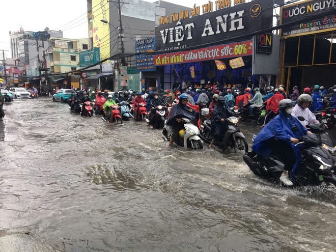 Hệ thống công viên trữ nước cho TP HCM - Ảnh 1.