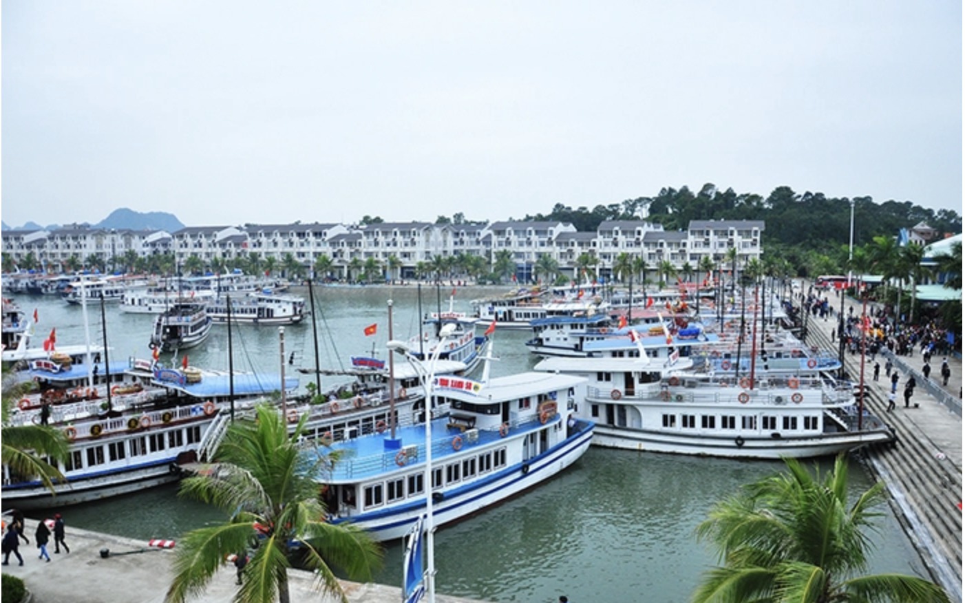 Quảng Ninh tạm ngừng cấp phép các hoạt động tham quan, lưu trú trên vịnh Hạ Long
