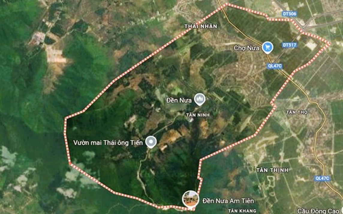 Chuyển đổi 44 ha rừng để thực hiện dự án tâm linh 35.000 tỉ đồng, có tượng Phật cao nhất thế giới