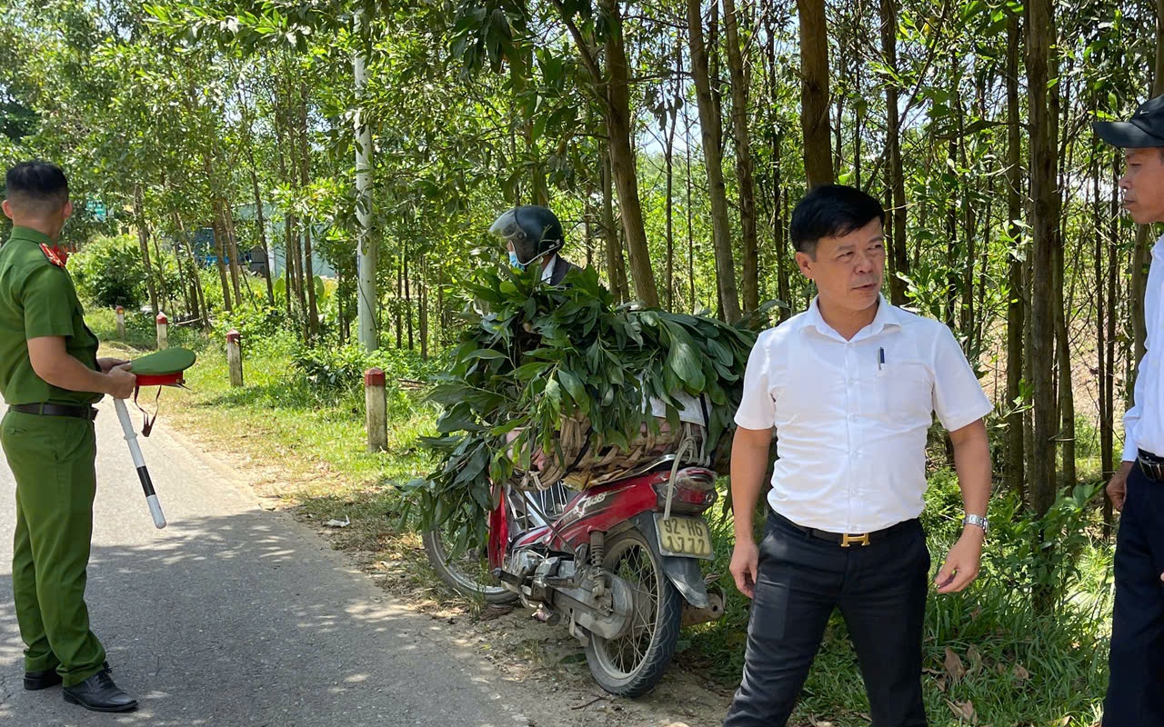 Người đàn ông ở Đà Nẵng chở heo bệnh từ đồng bằng lên miền núi tiêu thụ