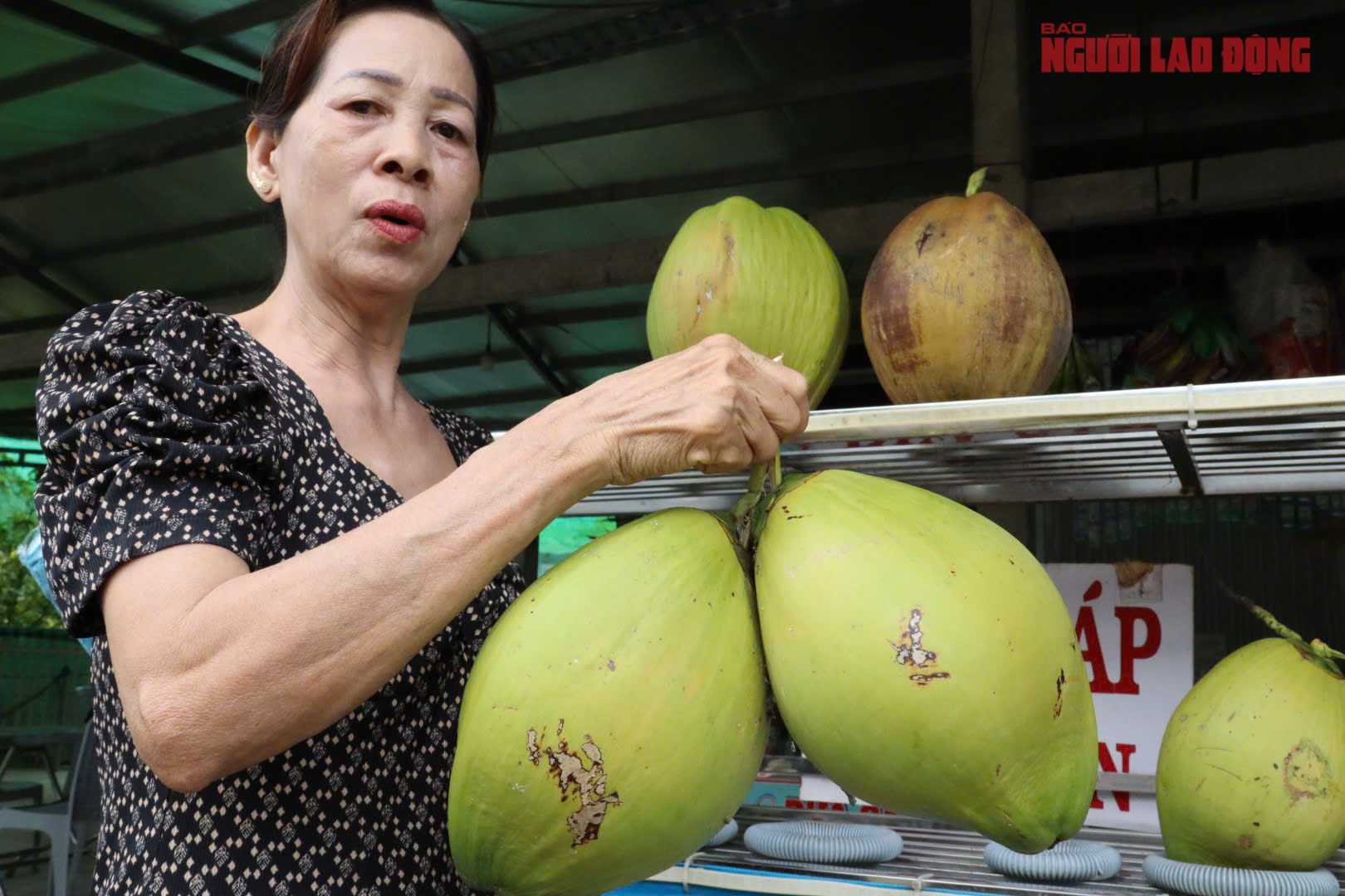 M&ocirc; h&igrave;nh trồng dừa s&aacute;p tại Cần Thơ mang lại thu nhập cao cho nh&agrave; vườn - Ảnh 1.