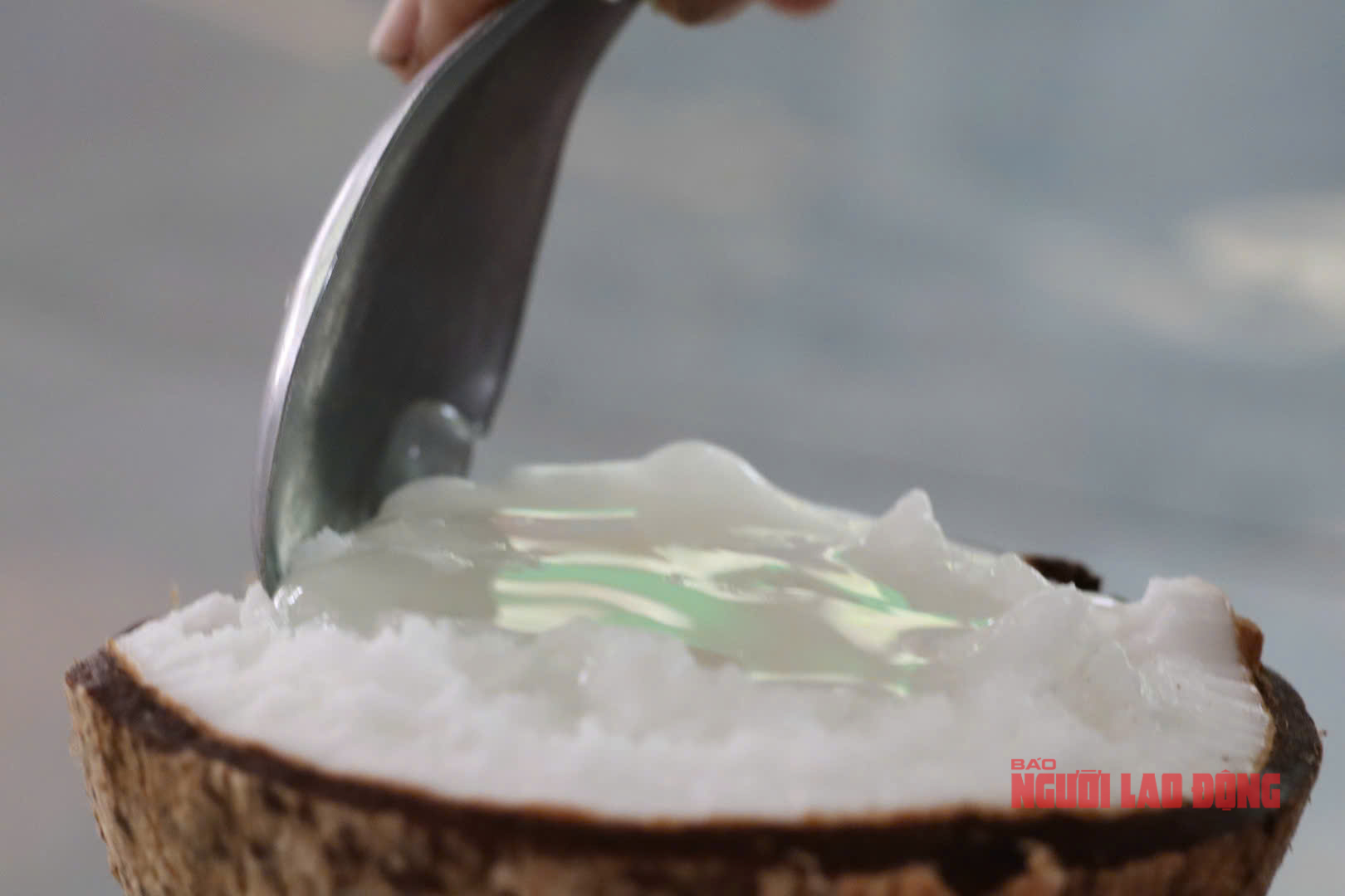 M&ocirc; h&igrave;nh trồng dừa s&aacute;p tại Cần Thơ mang lại thu nhập cao cho nh&agrave; vườn - Ảnh 6.
