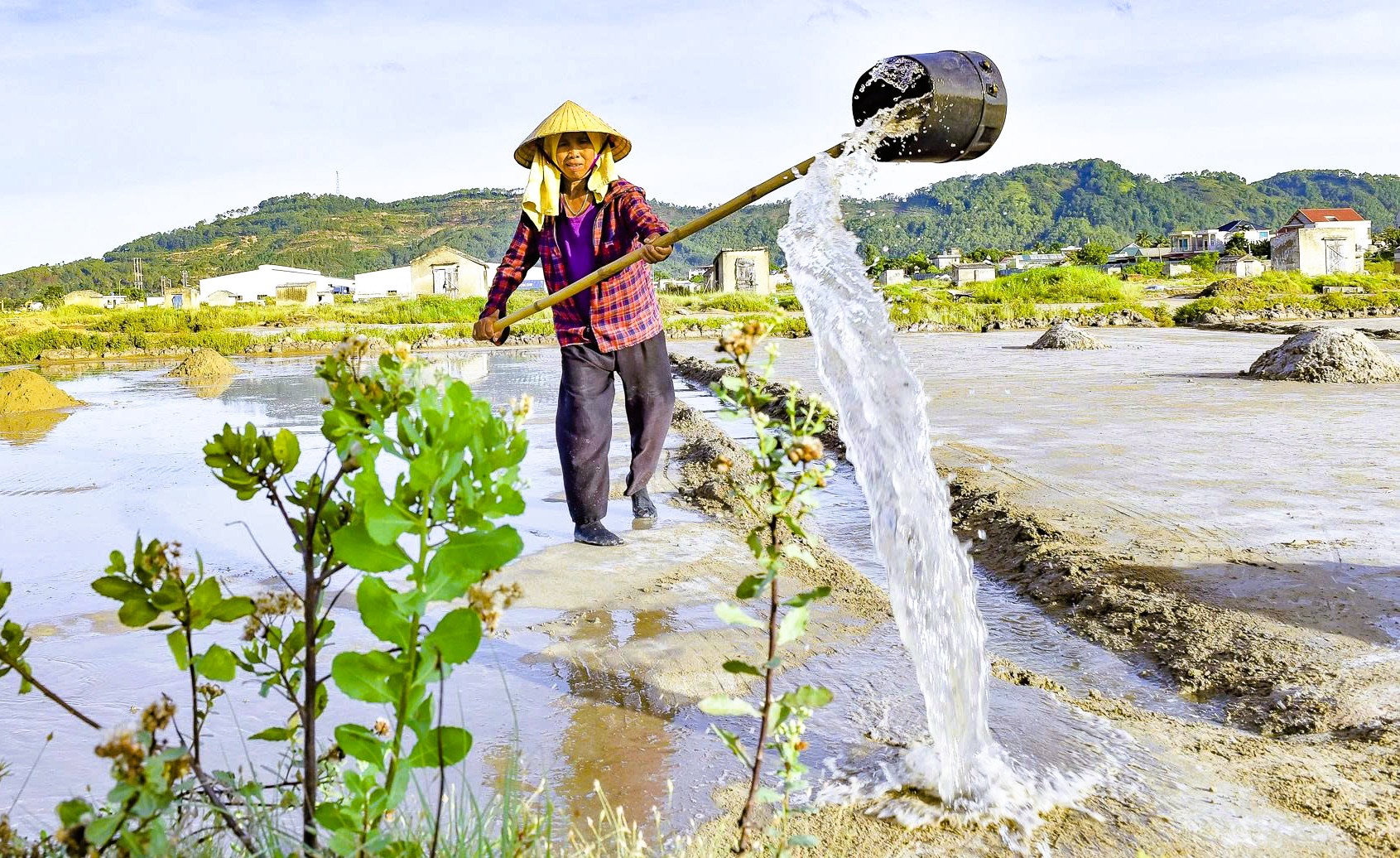 Nghề mưu sinh kỳ lạ giữa trời nắng chang chang- Ảnh 4.