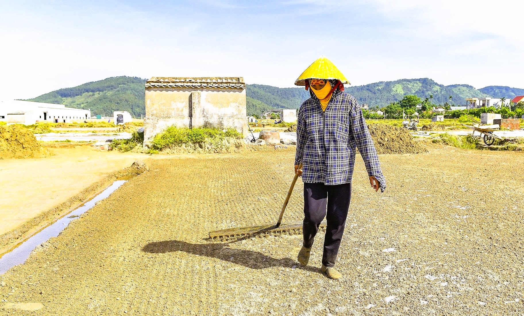 Nghề mưu sinh kỳ lạ giữa trời nắng chang chang- Ảnh 5.