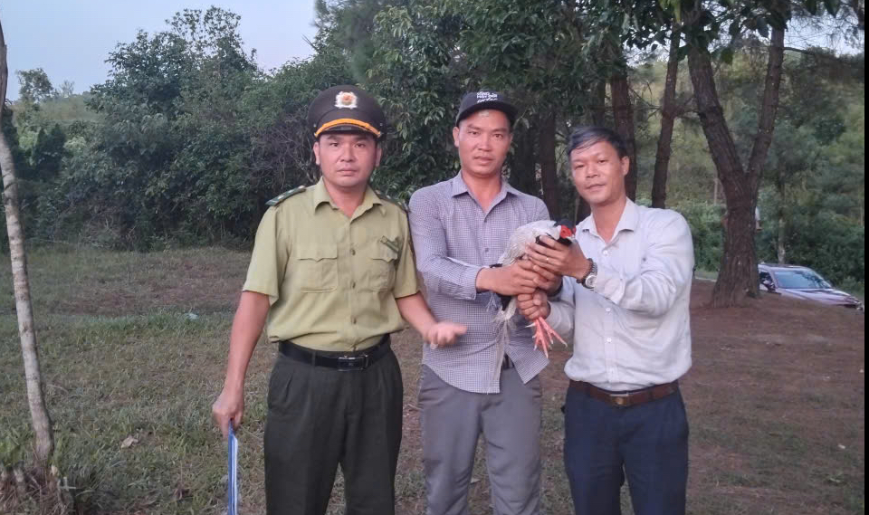 Bắt được g&agrave; l&ocirc;i trắng ở hồ Thủy Ti&ecirc;n, nam thanh ni&ecirc;n lập tức c&oacute; h&agrave;nh động n&agrave;y - Ảnh 1.