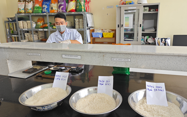 Nâng tầm hạt gạo Việt