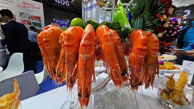 Ch&acirc;u Phi quan t&acirc;m thủy sản Việt Nam - Ảnh 1.