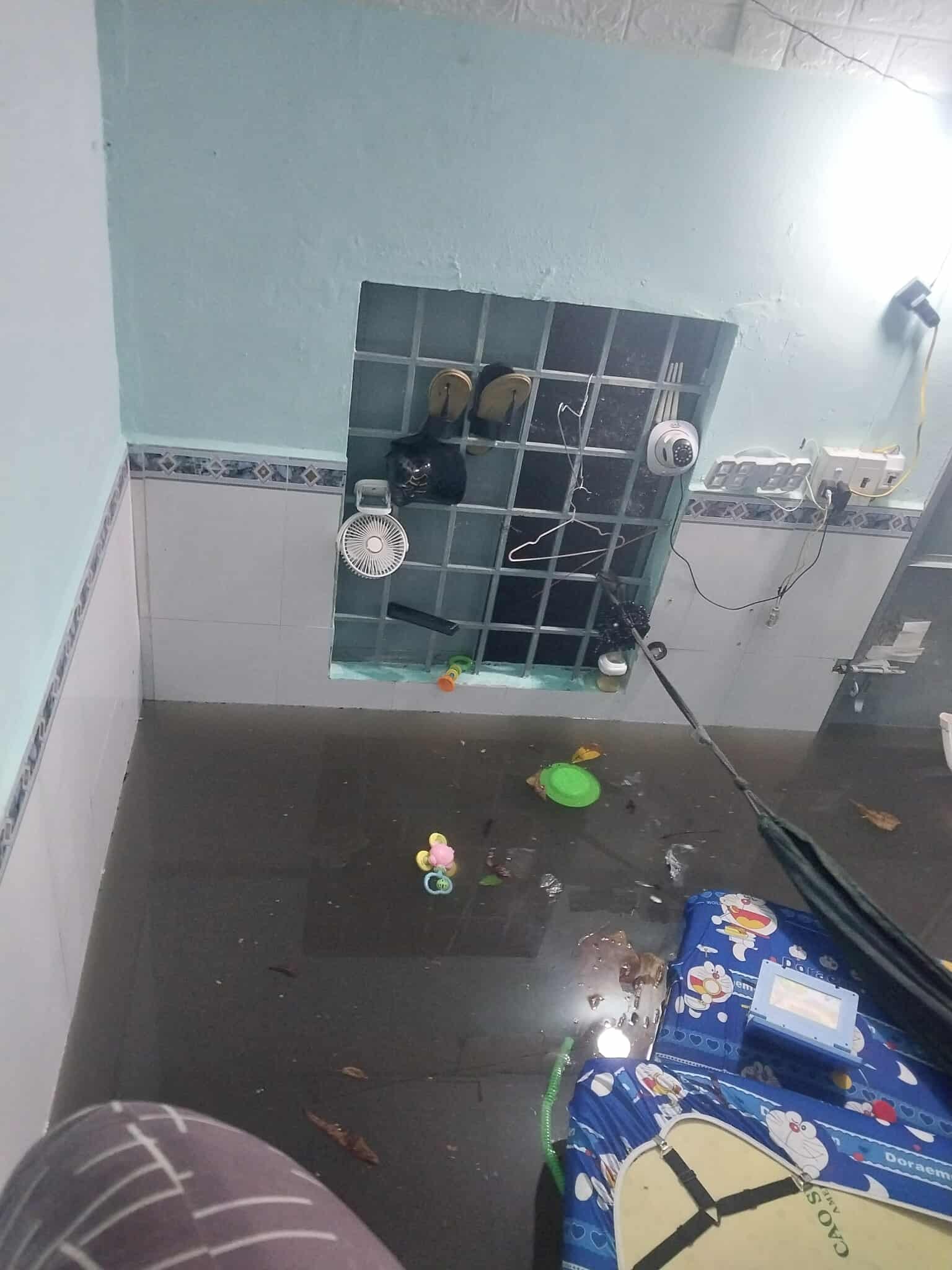 - Ảnh 13.