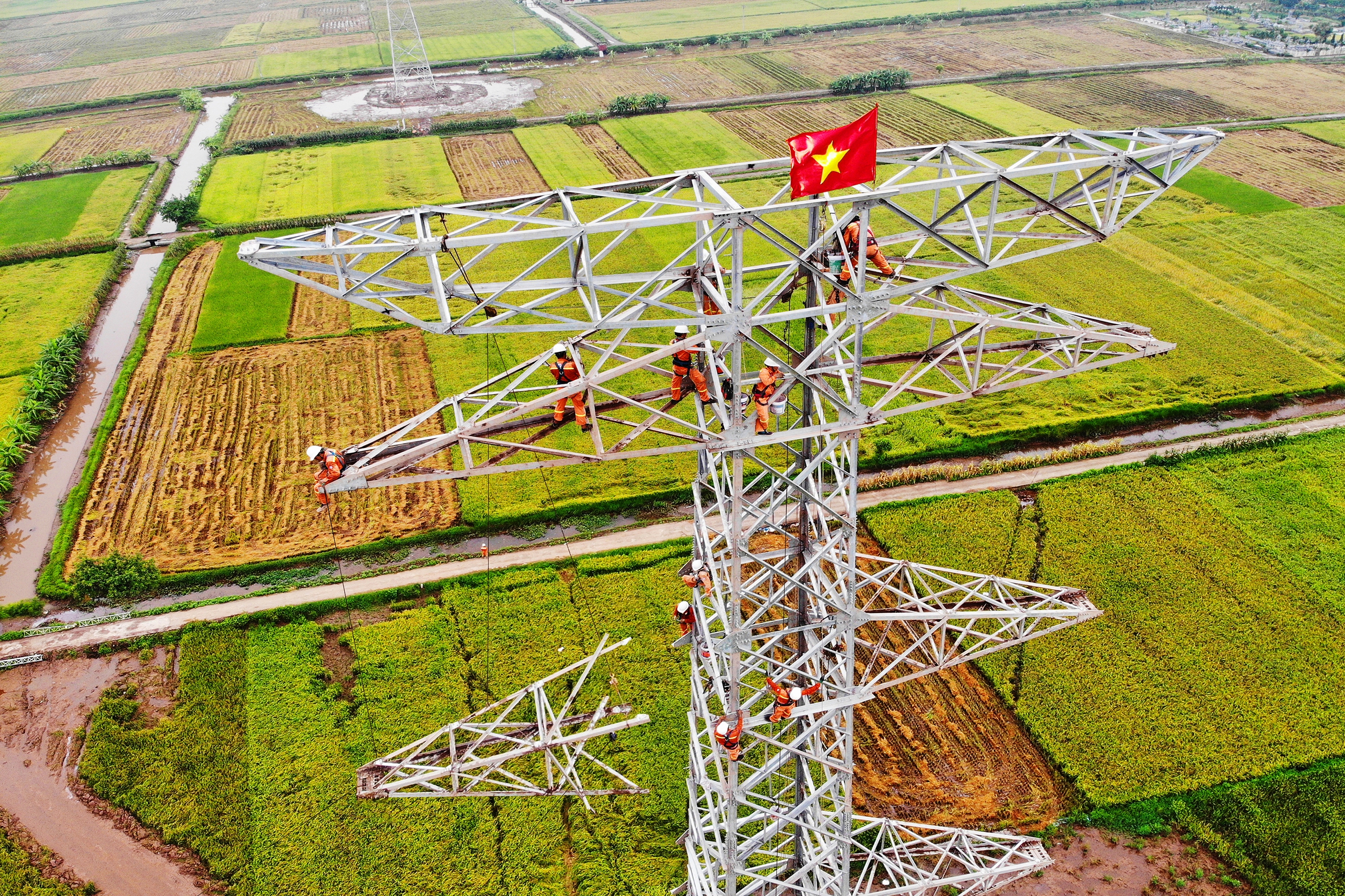 Ảnh đẹp trong tuần: Niềm vui ng&agrave;y đặc biệt - Ảnh 4.