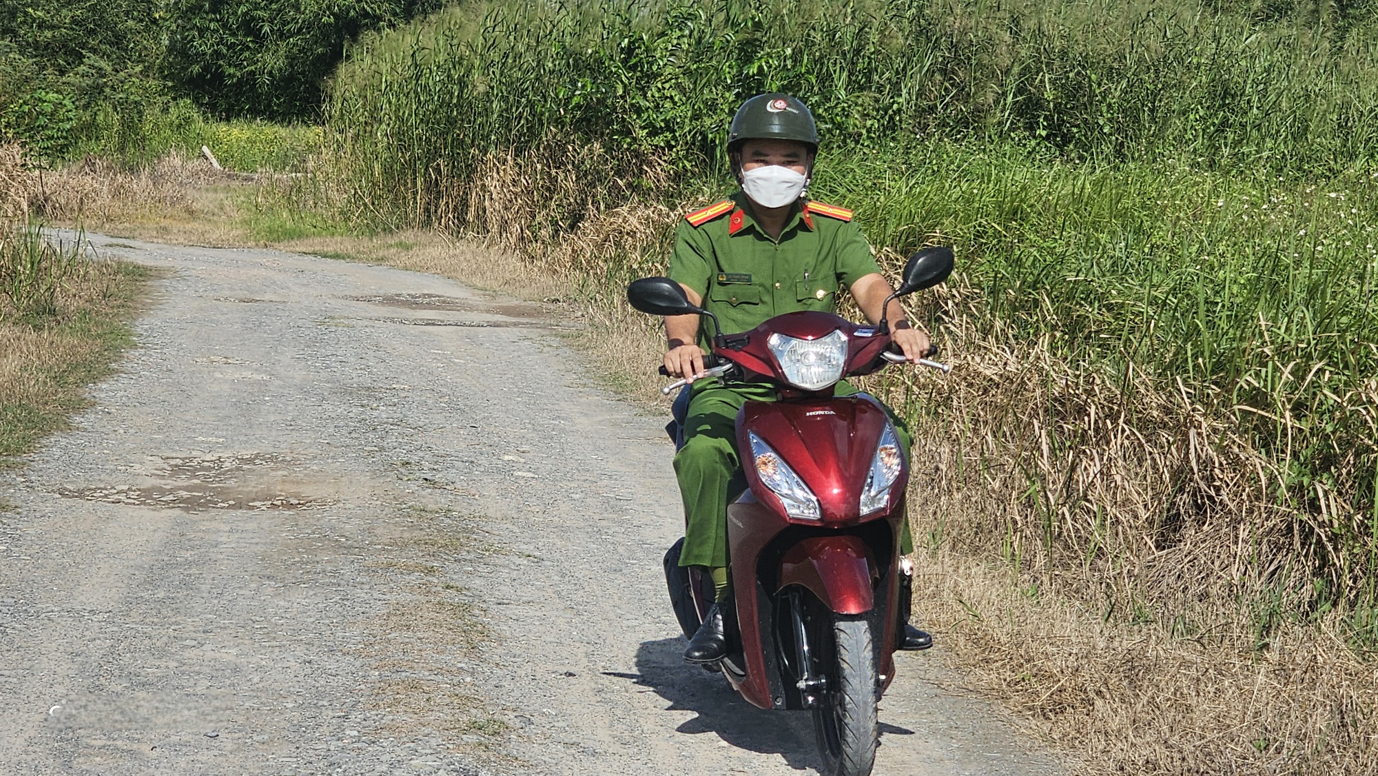  - Ảnh 7.