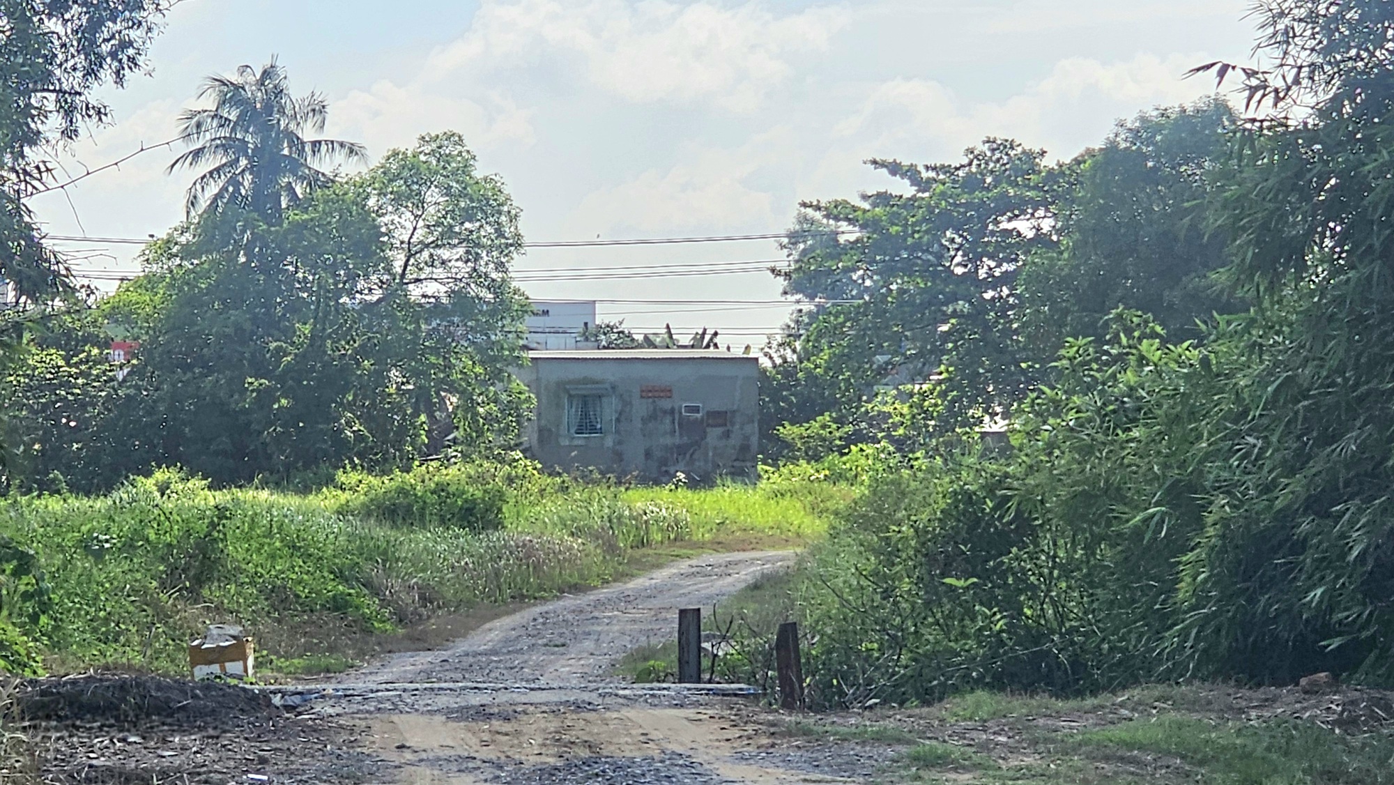 - Ảnh 4.