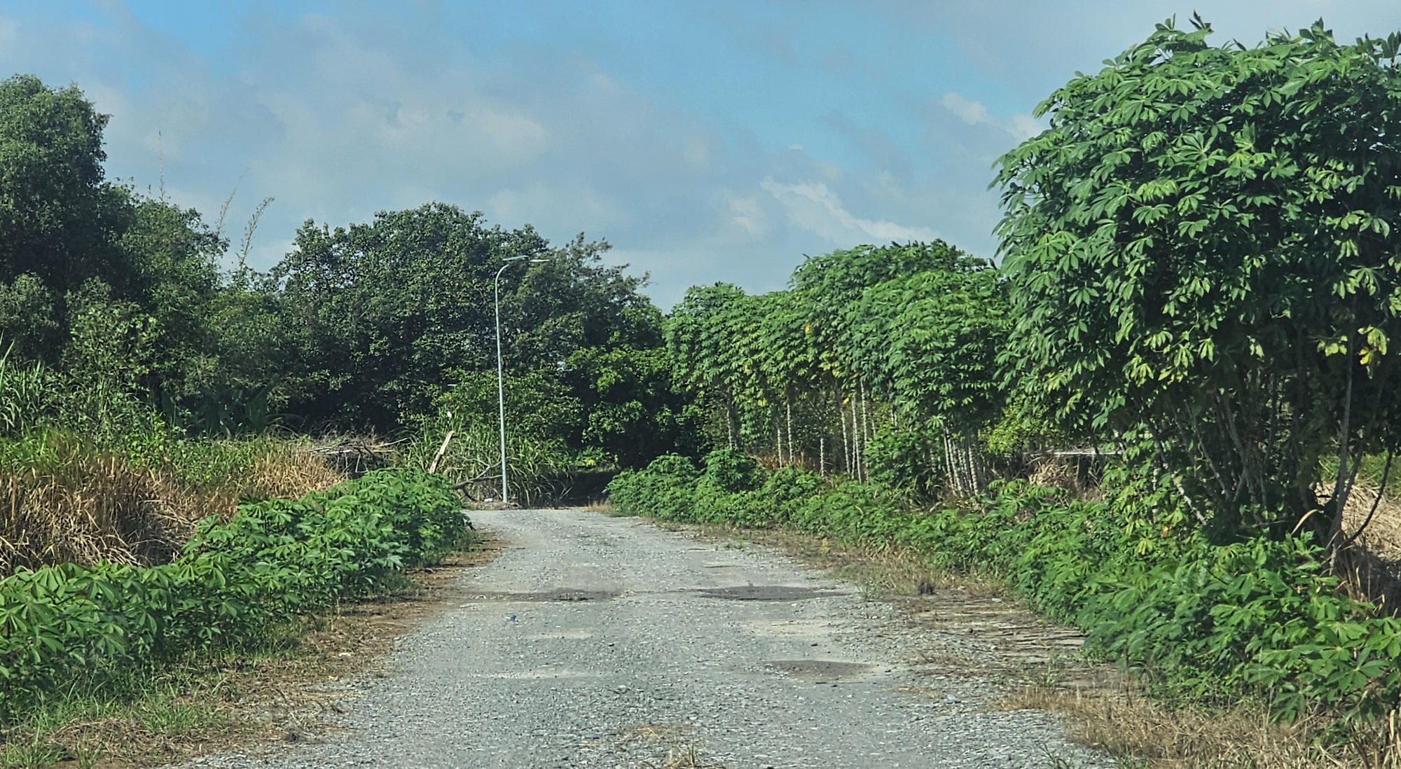  - Ảnh 3.
