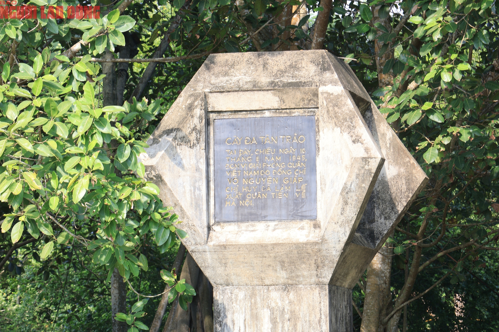 Võ Nguyên Giáp đọc lệnh khởi nghĩa tại cây đa Tân Trào ngày 16 - 8 - 1945 - Ảnh 3.