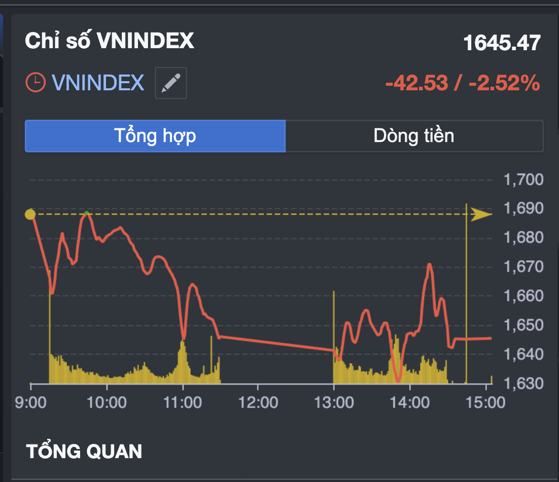 Chuy&ecirc;n gia n&oacute;i g&igrave; sau phi&ecirc;n chứng kho&aacute;n "đi t&agrave;u lượn", thanh khoản 2,7 tỉ USD?- Ảnh 5.