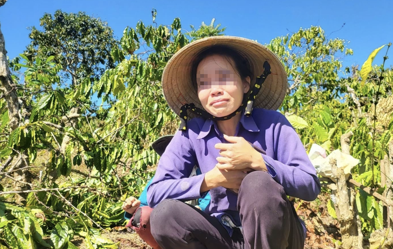 Anh rể phá vườn cây để "đòi ... quan hệ" em vợ: Nạn nhân kháng cáo- Ảnh 3.