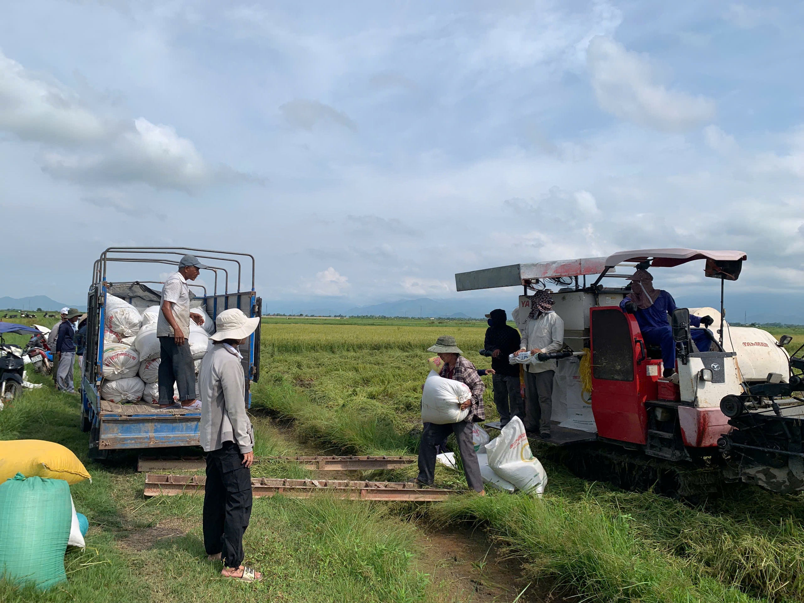 Trước b&atilde;o số 5 đổ bộ: Cảng c&aacute; tấp nập v&agrave; người d&acirc;n khẩn trương chằng chống nh&agrave; cửa - Ảnh 10.