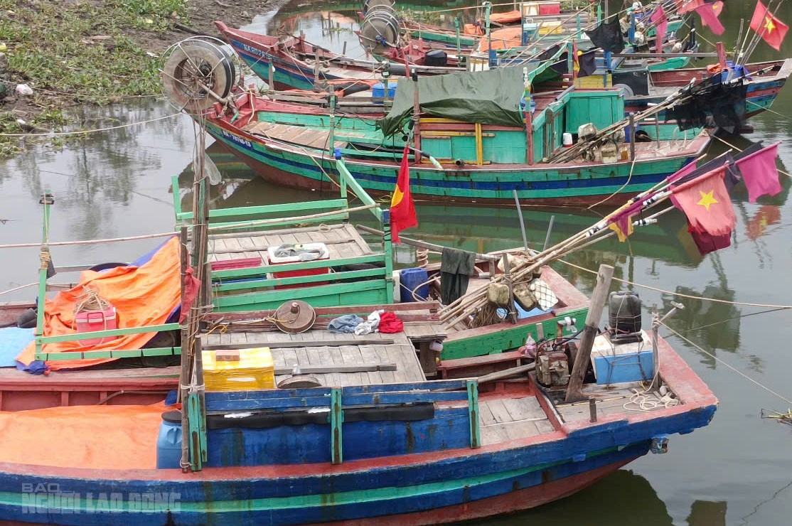 VIDEO: Người d&acirc;n hối hả chằng chống nh&agrave;, k&eacute;o thuyền l&ecirc;n bờ trước khi b&atilde;o số 5 v&agrave;o đất liền - Ảnh 9.