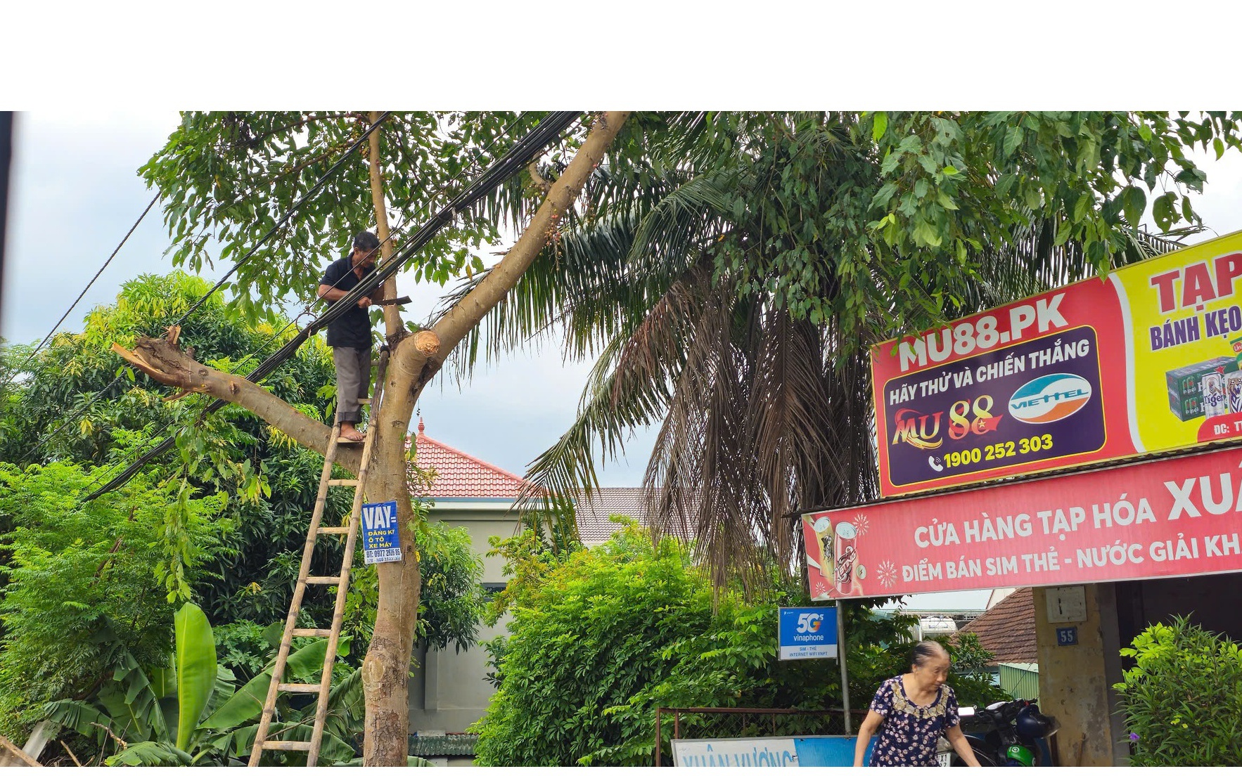 Hà Tĩnh - Quảng Trị: Tập trung di dời dân trước bão số 5