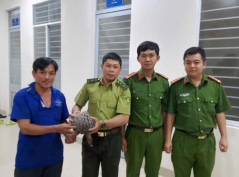 Người đ&agrave;n &ocirc;ng ở T&acirc;y Ninh bắt được l&ograve;ai t&ecirc; t&ecirc; q&uacute;y hiếm , h&agrave;nh động bảo vệ động vật hoang d&atilde; - Ảnh 1.