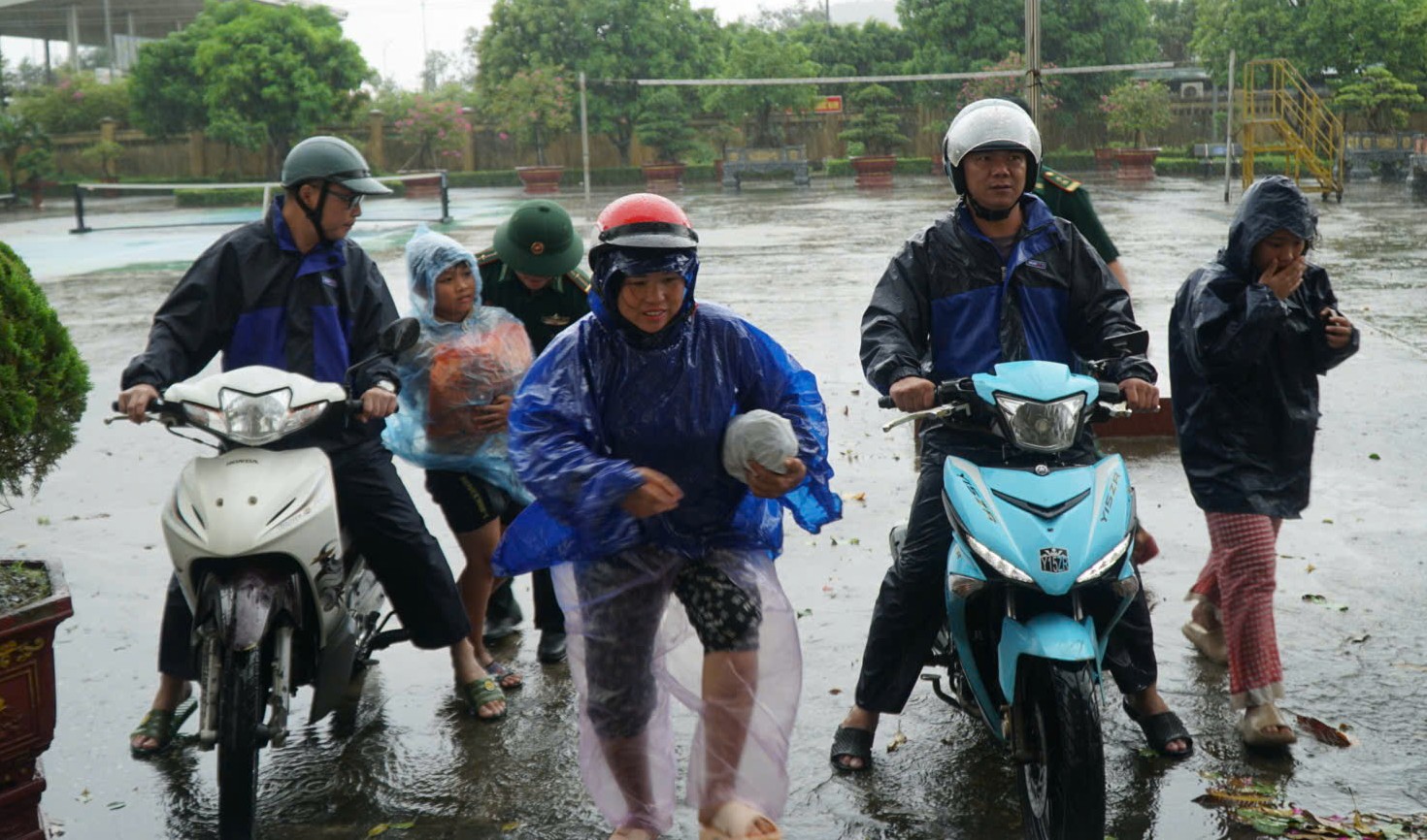 Trước giờ "G" bão số 5 Kajiki đổ bộ, mưa trắng trời, cây đổ, gió giật mạnh- Ảnh 2.