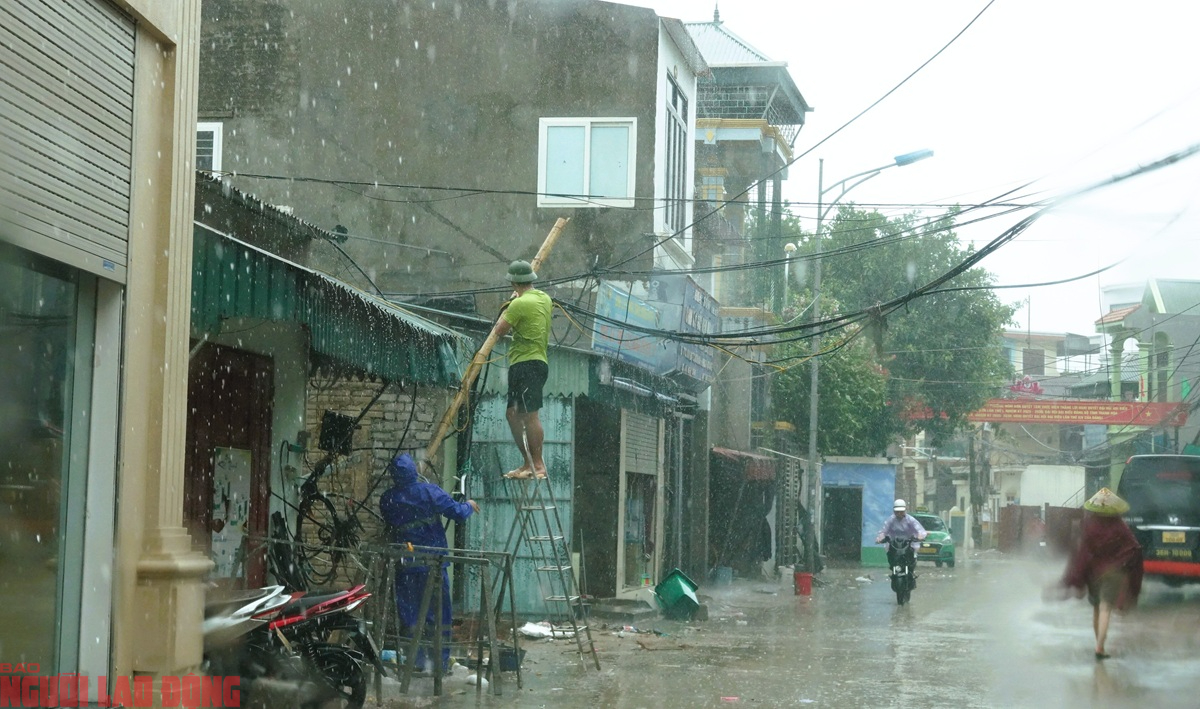 Khu nuôi cá lồng của ngư dân Thanh Hóa chìm trong mưa bão số 5 - Ảnh 3.