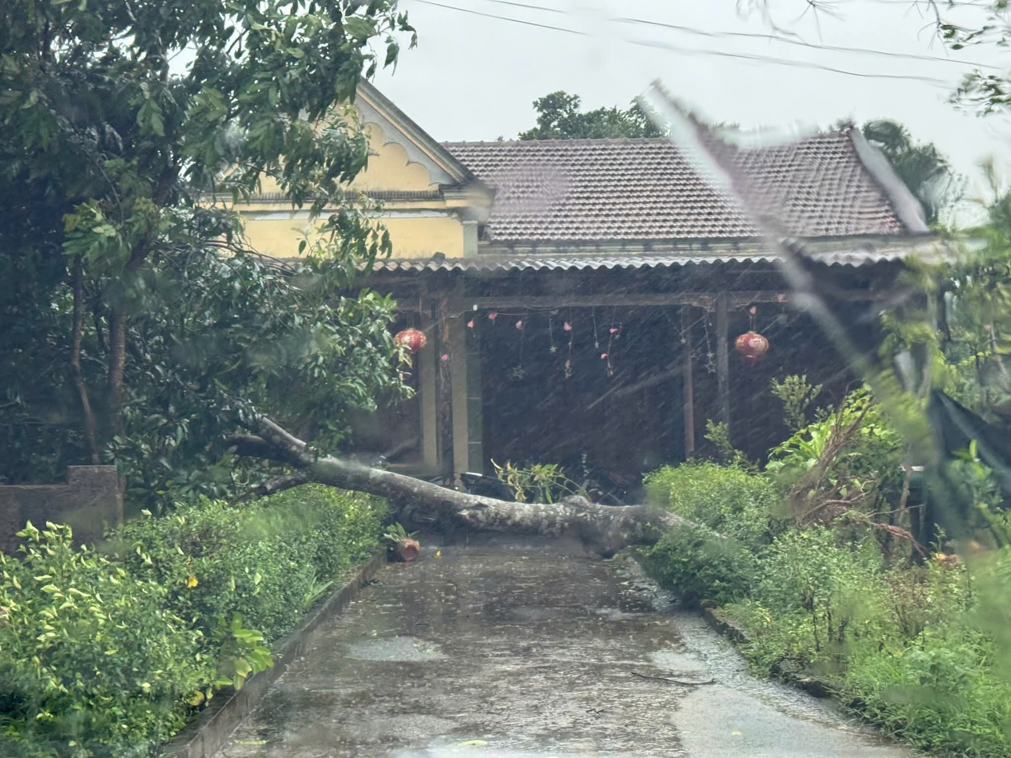 B&atilde;o số 5 ( Kajiki ) g&acirc;y mưa lớn , gi&oacute; mạnh tại H&agrave; Tĩnh - Ảnh 8.