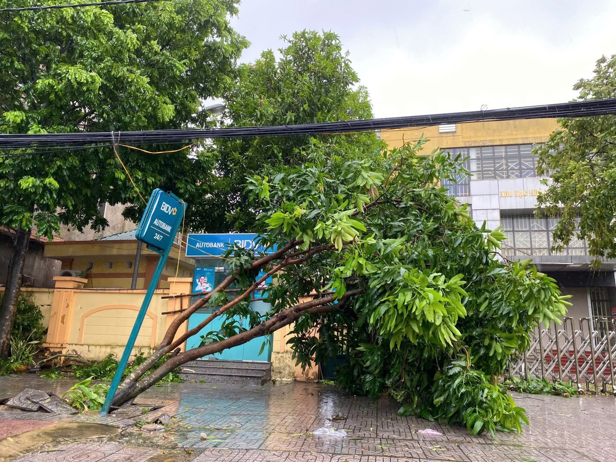 B&atilde;o số 5 ( Kajiki ) g&acirc;y mưa lớn , gi&oacute; mạnh tại H&agrave; Tĩnh - Ảnh 7.
