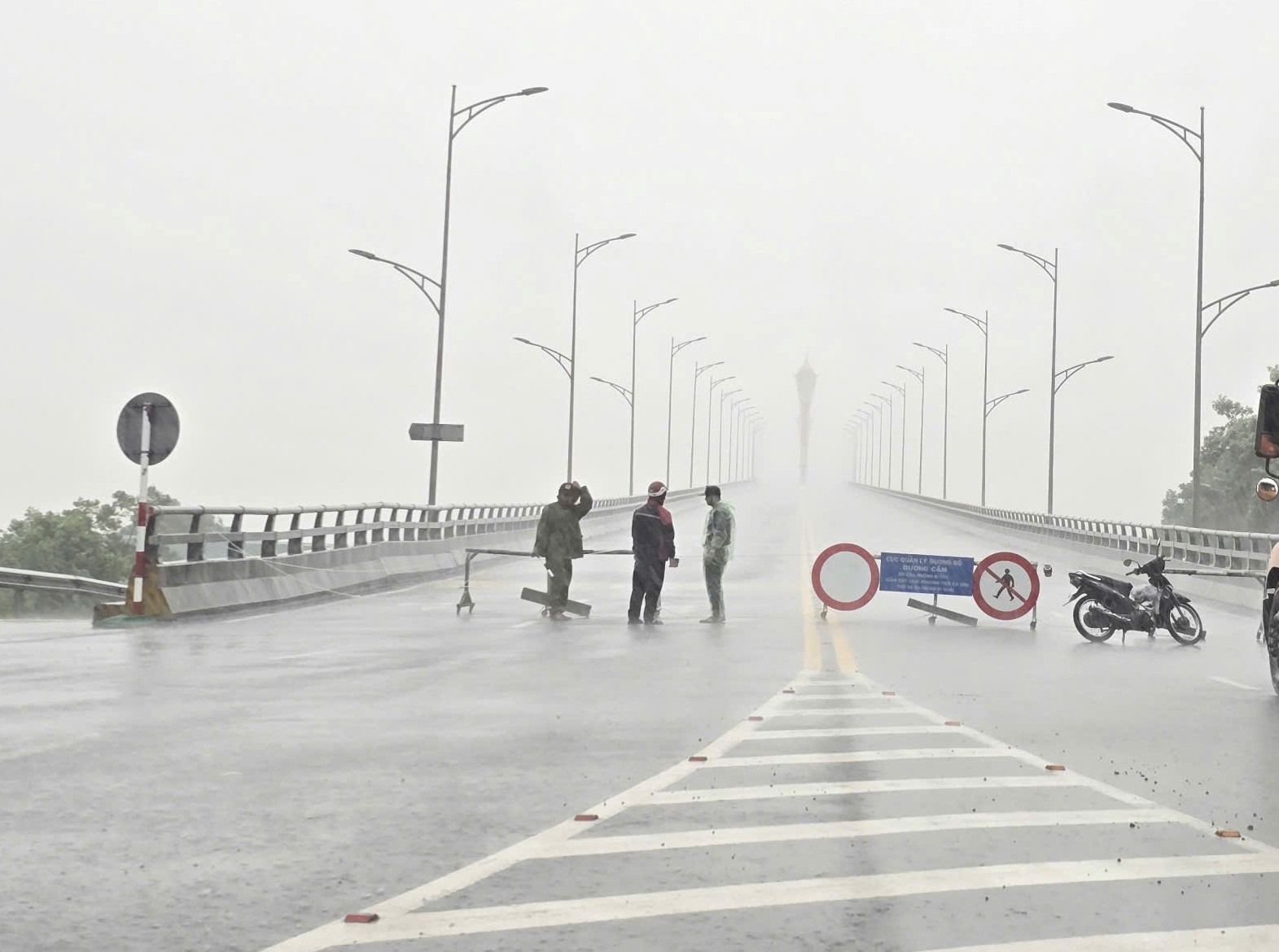 Trước giờ "G" bão số 5 Kajiki đổ bộ, mưa trắng trời, cây đổ, gió giật mạnh- Ảnh 8.