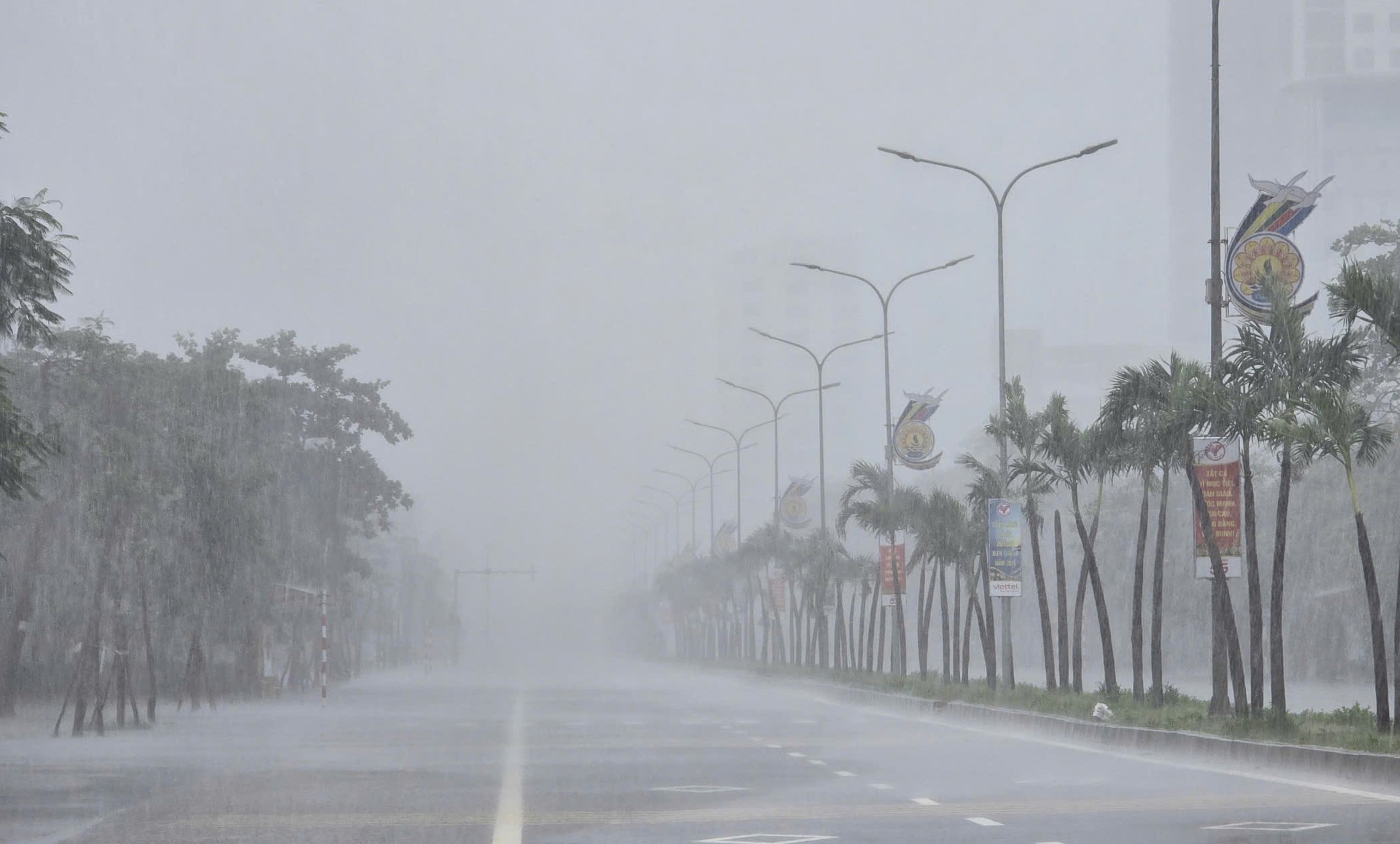 Trước giờ "G" bão số 5 Kajiki đổ bộ, mưa trắng trời, cây đổ, gió giật mạnh- Ảnh 10.