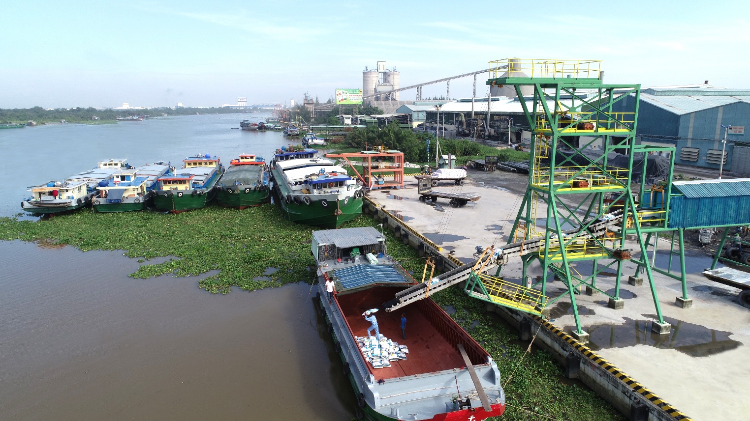 B&igrave;nh Điền &ndash; H&agrave;nh tr&igrave;nh hơn nửa thế kỷ phụng sự n&ocirc;ng d&acirc;n v&agrave; tầm nh&igrave;n ti&ecirc;n phong xanh h&oacute;a - số h&oacute;a- Ảnh 5.