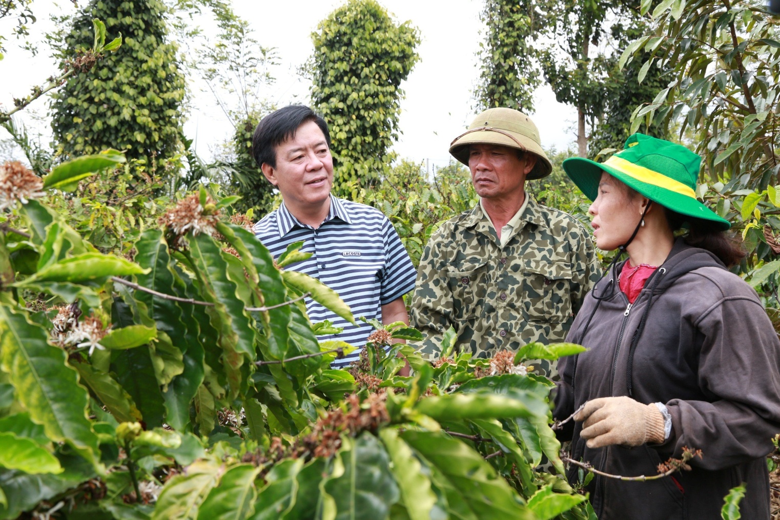 B&igrave;nh Điền &ndash; H&agrave;nh tr&igrave;nh hơn nửa thế kỷ phụng sự n&ocirc;ng d&acirc;n v&agrave; tầm nh&igrave;n ti&ecirc;n phong xanh h&oacute;a - số h&oacute;a- Ảnh 9.