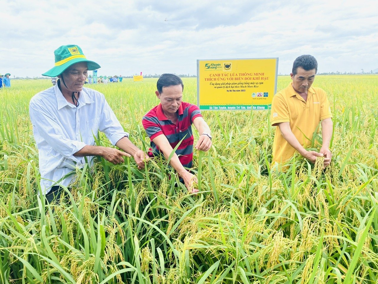 B&igrave;nh Điền &ndash; H&agrave;nh tr&igrave;nh hơn nửa thế kỷ phụng sự n&ocirc;ng d&acirc;n v&agrave; tầm nh&igrave;n ti&ecirc;n phong xanh h&oacute;a - số h&oacute;a- Ảnh 10.