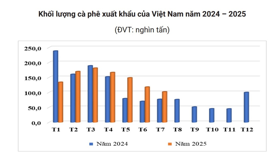 Gi&aacute; c&agrave; ph&ecirc; h&ocirc;m nay 26 - 8 giảm nhẹ sau tuần tăng n&oacute;ng - Ảnh 2.