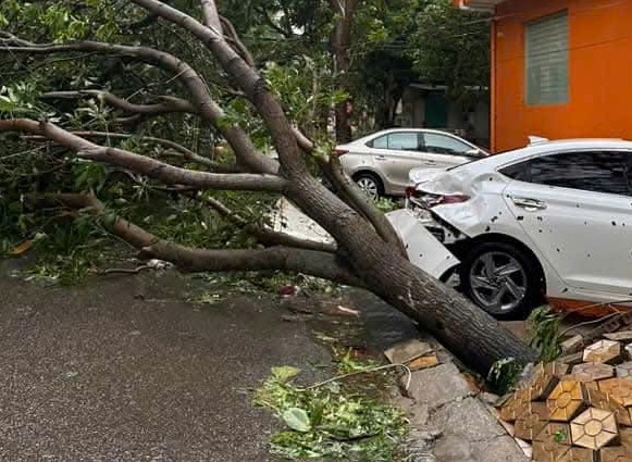 Hàng loạt xe ô tô bị cây xanh đè, mái tôn rơi trúng tại vùng tâm bão số 5 - Ảnh 3.