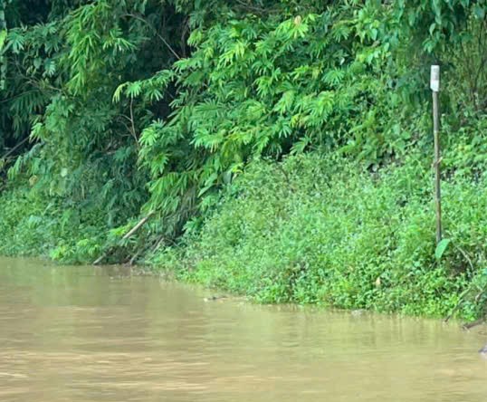 Ph&aacute;t hiện 2 thi thể chưa r&otilde; danh t&iacute;nh trong b&atilde;o số 5- Ảnh 1.